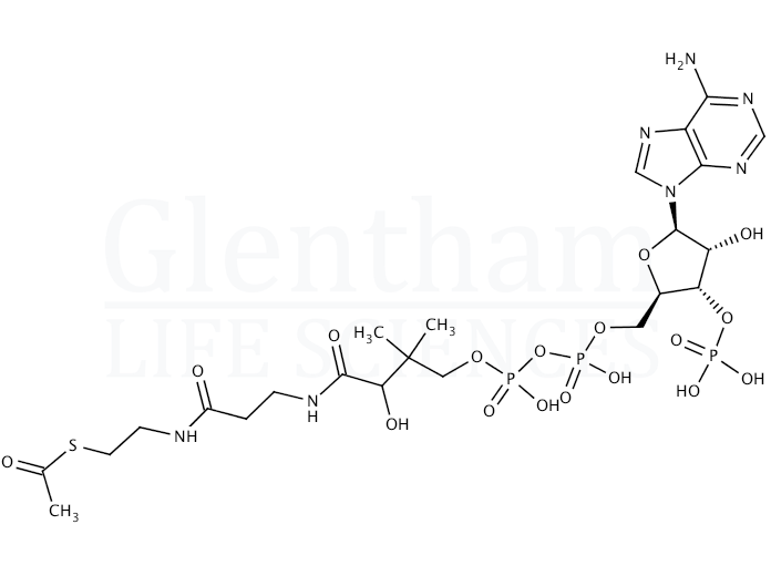 Structure for Acetyl coenzyme A sodium salt