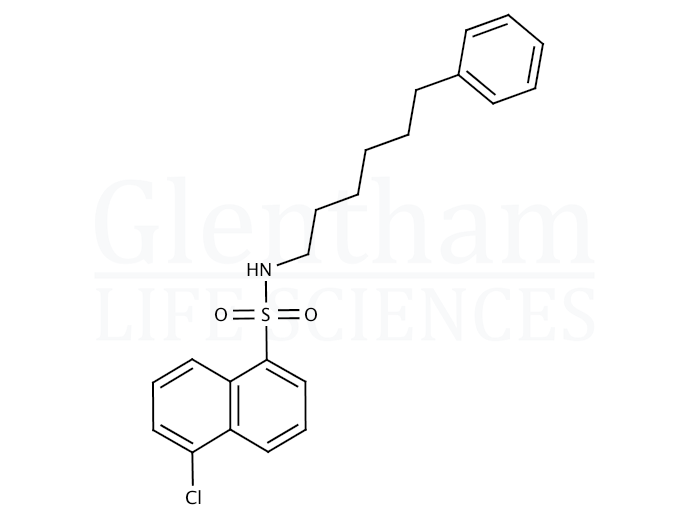 Structure for N-(6-Phenylhexyl)-5-chloro-1-naphthalenesulfonamide