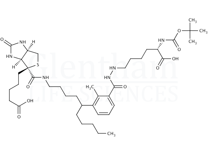 Structure for  N2-t-Boc-N6-(biotinamido-6-N-caproylamido)lysine  (102910-26-9)
