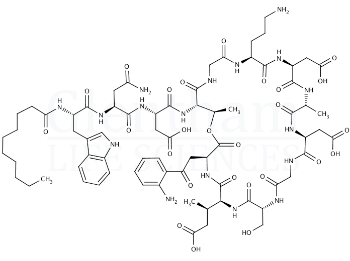 Structure for Daptomycin