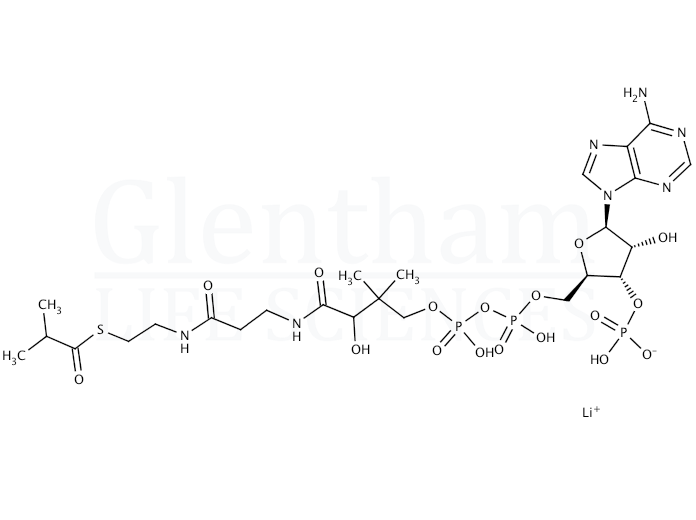 Structure for Isobutyryl coenzyme A lithium salt