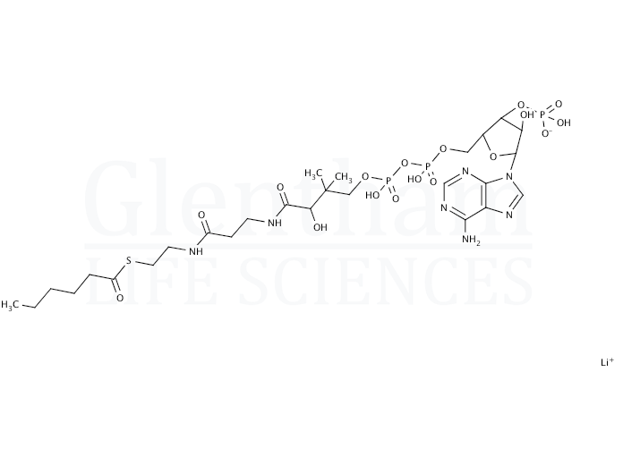 Hexanoyl coenzymexa0A trilithium salt hydrate Structure