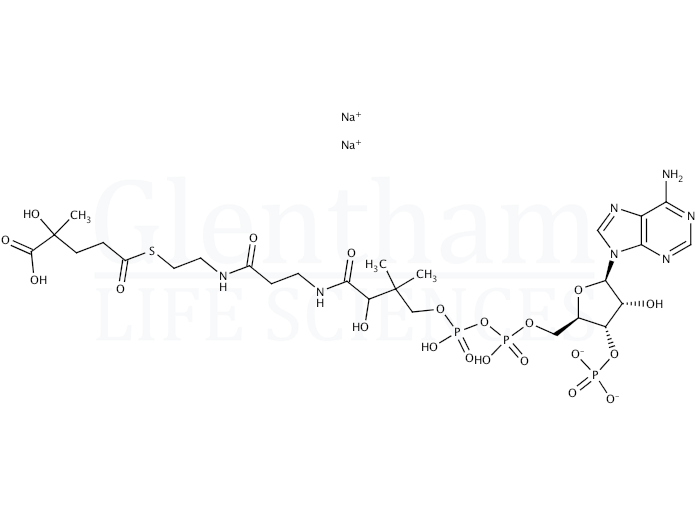 Structure for DL-3-Hydroxy-3-methylglutaryl coenzyme A sodium salt hydrate