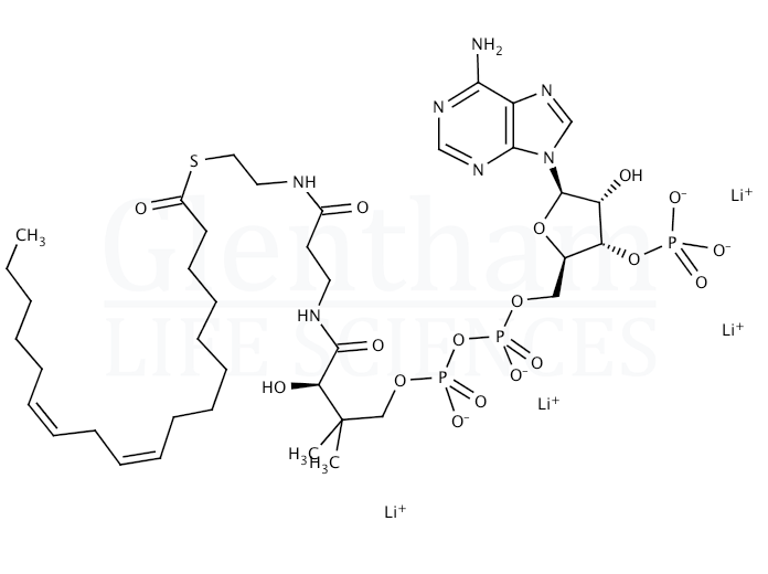 Linoleoyl coenzyme A lithium salt Structure