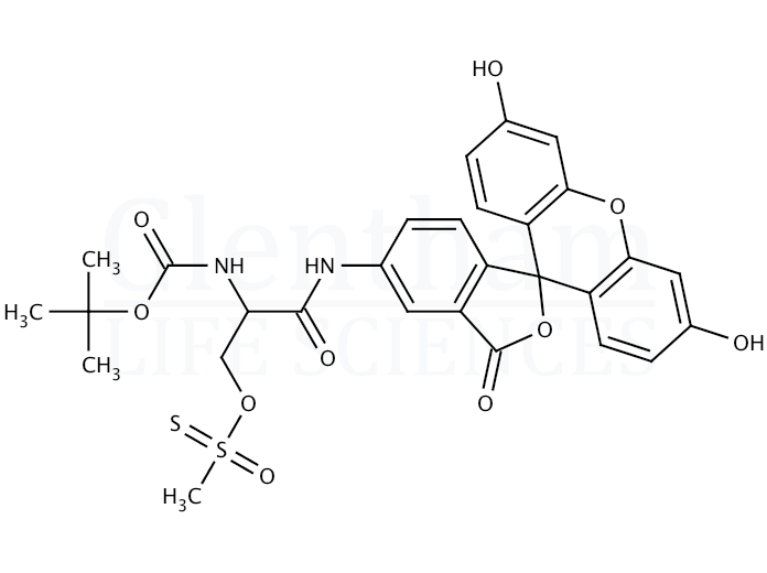 Structure for t-Boc-MTSEA-Fluorescein