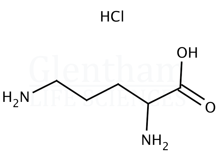 DL-Ornithine monohydrochloride Structure