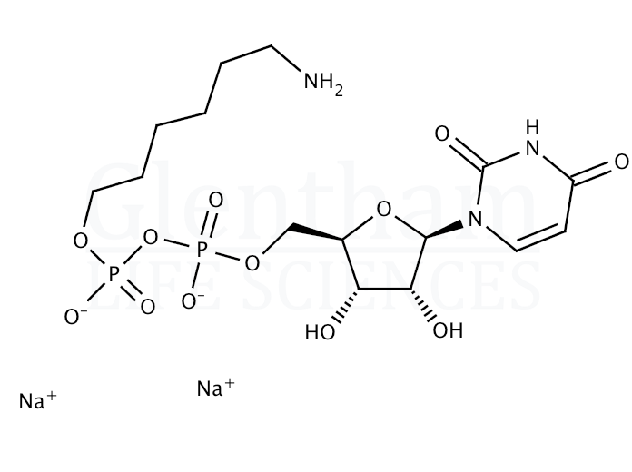 Large structure for  Uridine 5′-diphosphohexanolamine sodium salt   (108320-83-8)