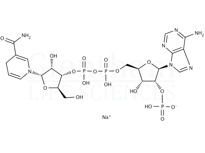 Structure for a-Nicotinamide adenine dinucleotide phosphate, reduced form sodium salt