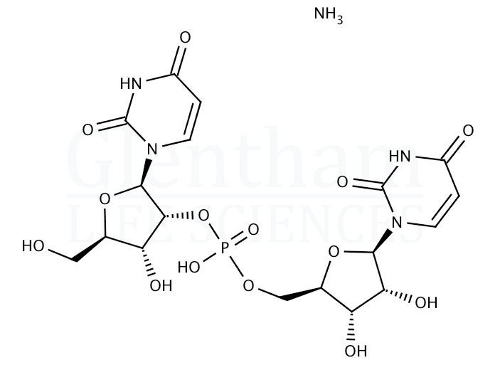 Uridylyl-2''-5''-uridine ammonium salt Structure