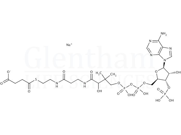 Structure for Succinyl coenzyme A sodium salt