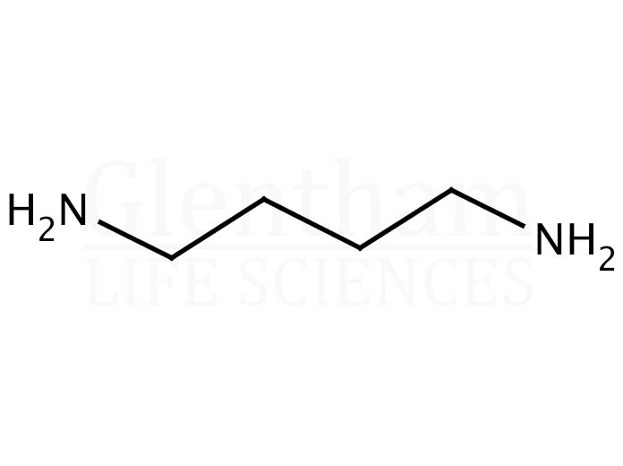 1,4-Diaminobutane Structure