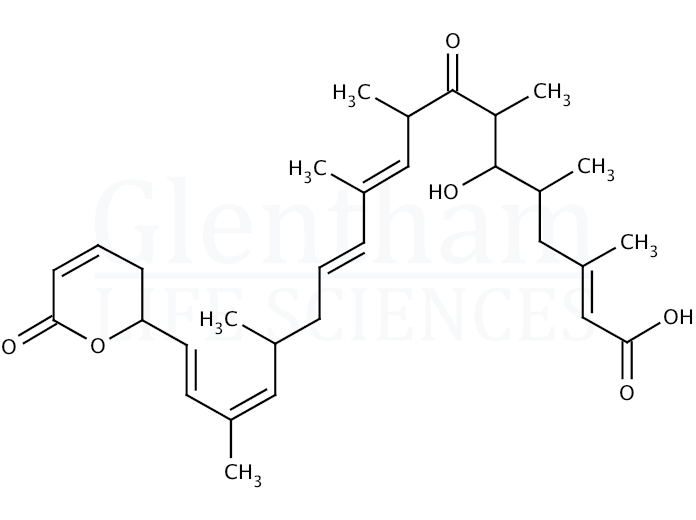 Large structure for Anguinomycin A (111278-01-4)