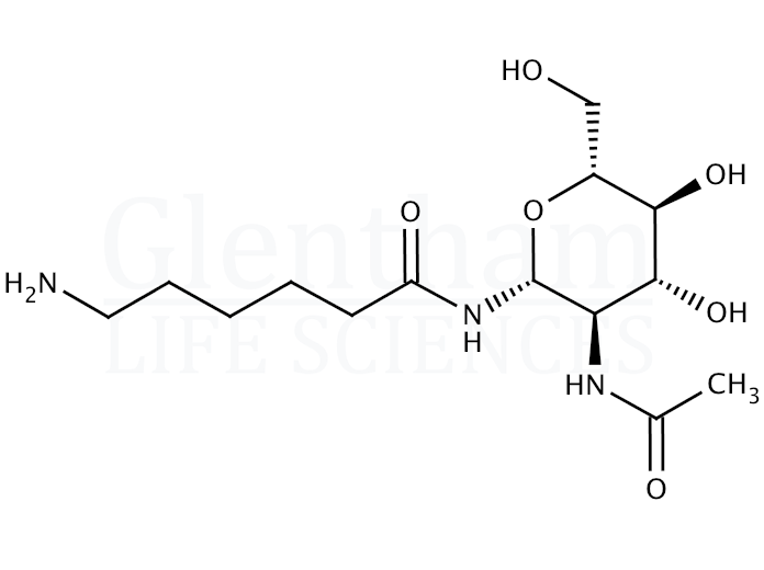 Structure for 2-Acetamido-N-(e-aminocaproyl)-2-deoxy-β-D-glucopyranosylamine (112898-10-9)