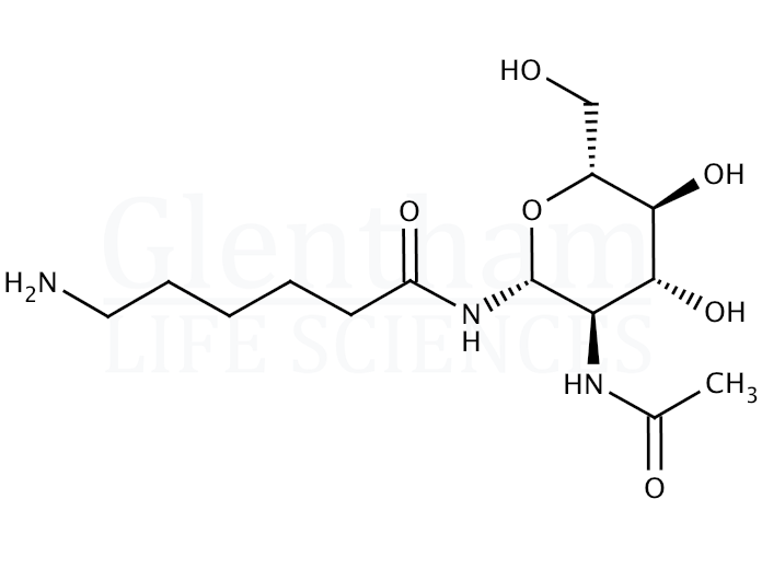 Structure for  2-Acetamido-N-(e-aminocaproyl)-2-deoxy-β-D-glucopyranosylamine  (112898-10-9)