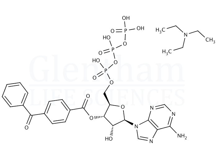 Structure for 2''(3'')-O-(4-Benzoylbenzoyl)adenosine-5''-triphosphate triethylammonium salt