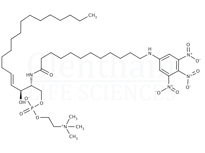 Structure for TNPAL-Sphingomyelin 1xa0mg/mL in chloroform/methanol (2:1)