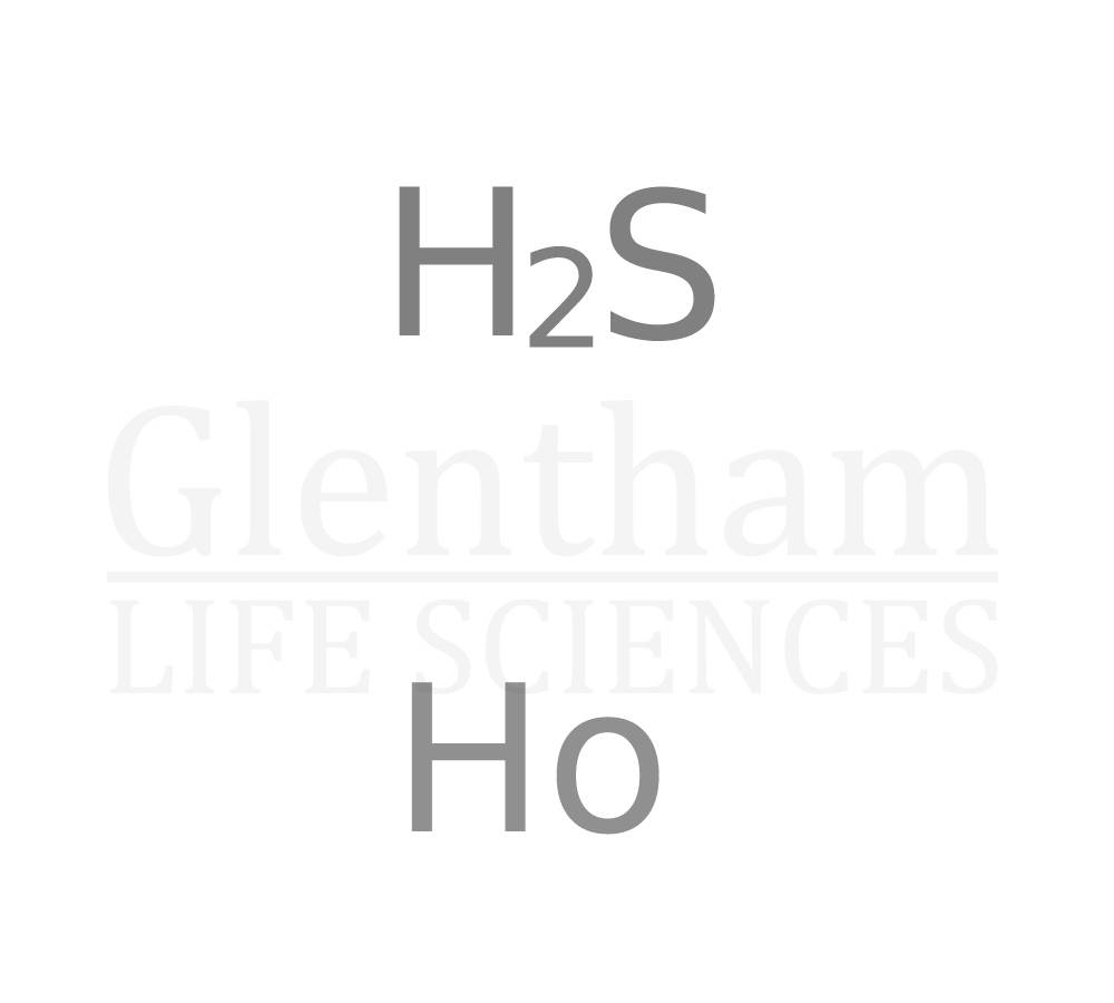 Holmium sulfide, 99.9% Structure