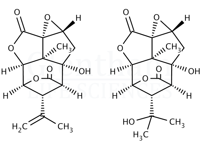 Structure for Picrotoxin 