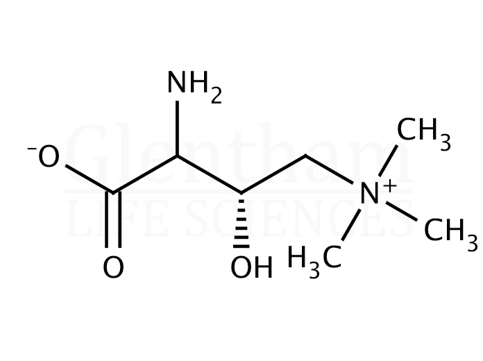 Structure for (S)-Amino carnitine (125377-87-9)