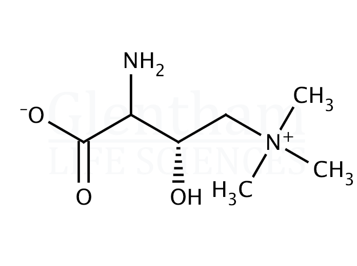 (S)-Amino carnitine Structure