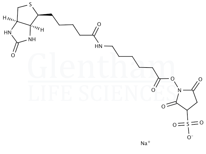 Structure for 2''-Deoxy-5''-O-DMT-N6-methyl-8-oxoadenosine 3''-CE phosphoramidite