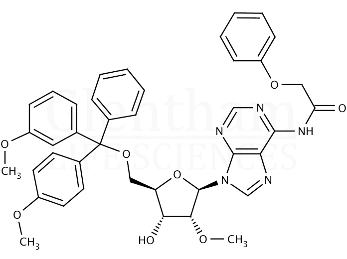 5''-O-DMT-2''-O-methyl-N6-phenoxyacetyladenosine Structure
