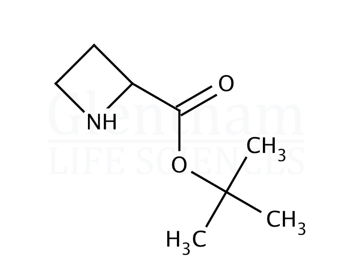 Structure for L-Azetidine-2-carboxylic acid t-butyl ester