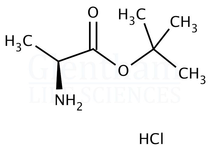 Strcuture for L-Alanine tert-butyl ester hydrochloride