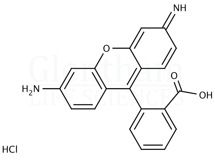 Structure for Rhodamine 110 chloride