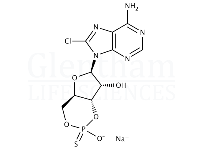 8-Chloroadenosine-3′,5′-cyclic monophosphorothioate, Rp-isomer Structure