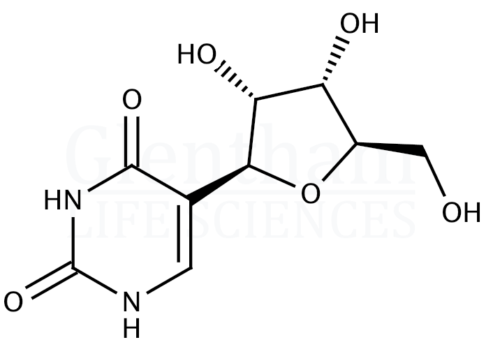 Structure for Pseudouridine