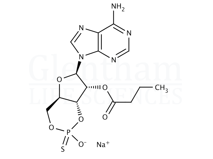 Rp-2′-O-Monobutyryladenosine 3′,5′-cyclic monophosphorothioate Structure