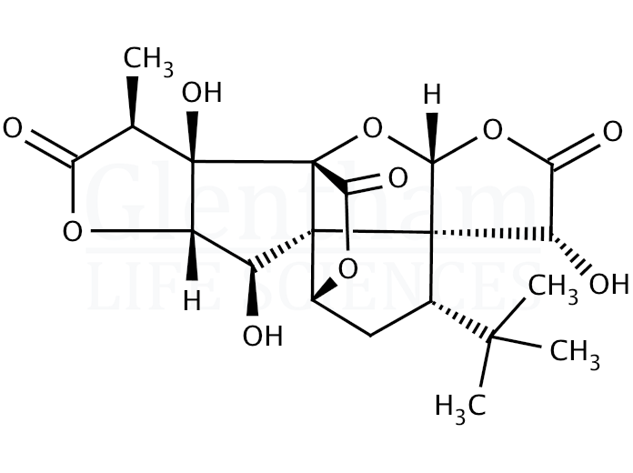 Structure for Ginkgolide B