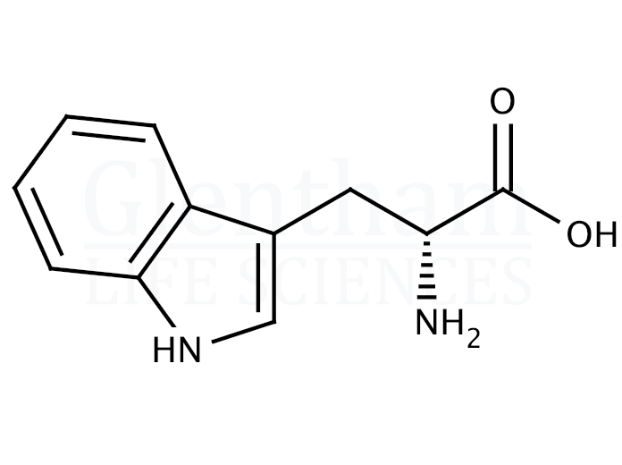 D-Tryptophan Structure