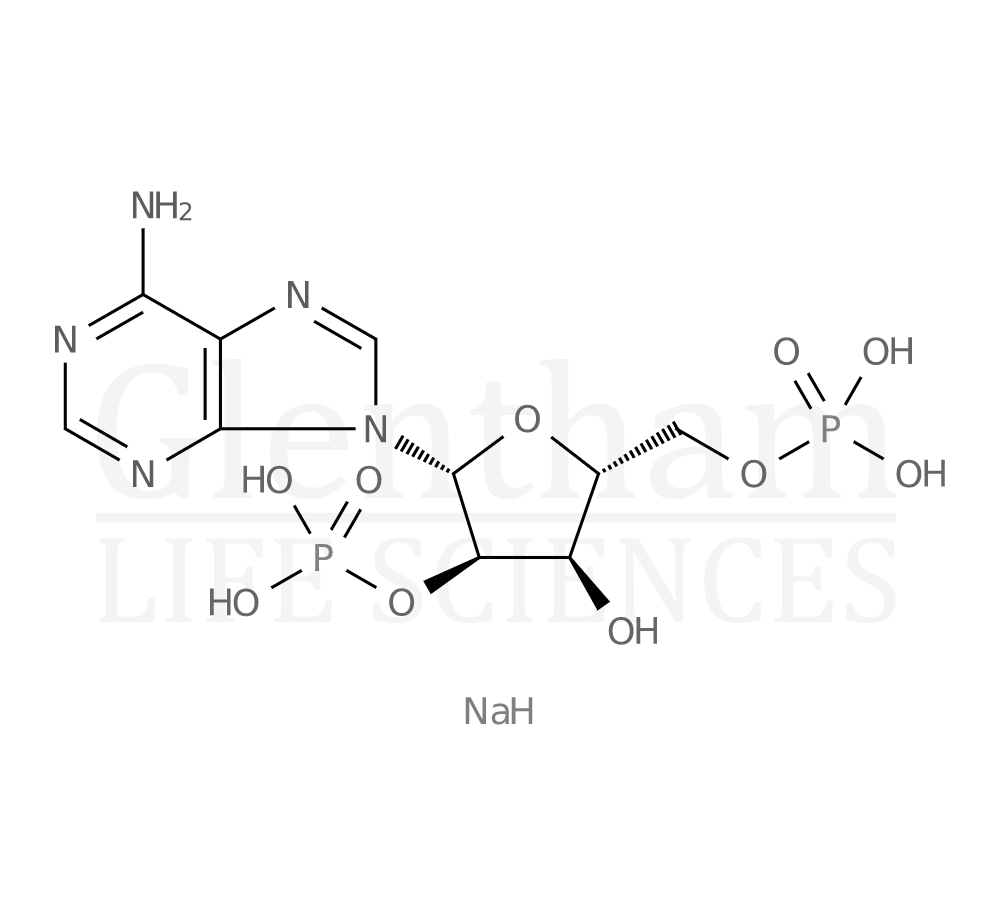 Adenosine 2′,5′-diphosphate sodium salt Structure