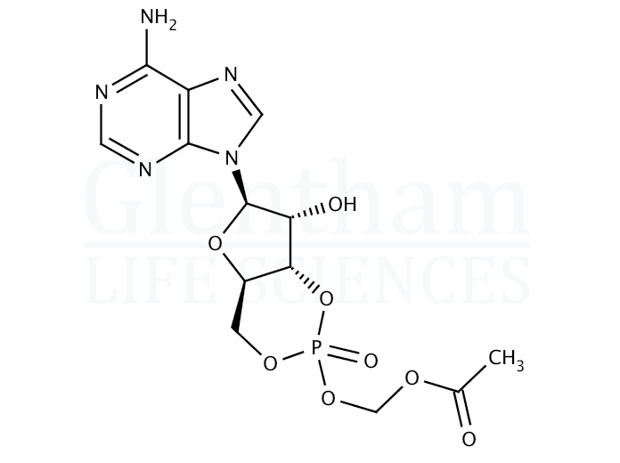 Adenosine 3′,5′-cyclic monophosphate acetoxymethyl ester   Structure