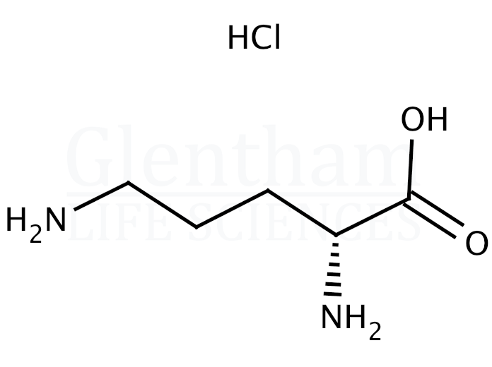Large structure for D-Ornithine monohydrochloride (16682-12-5)