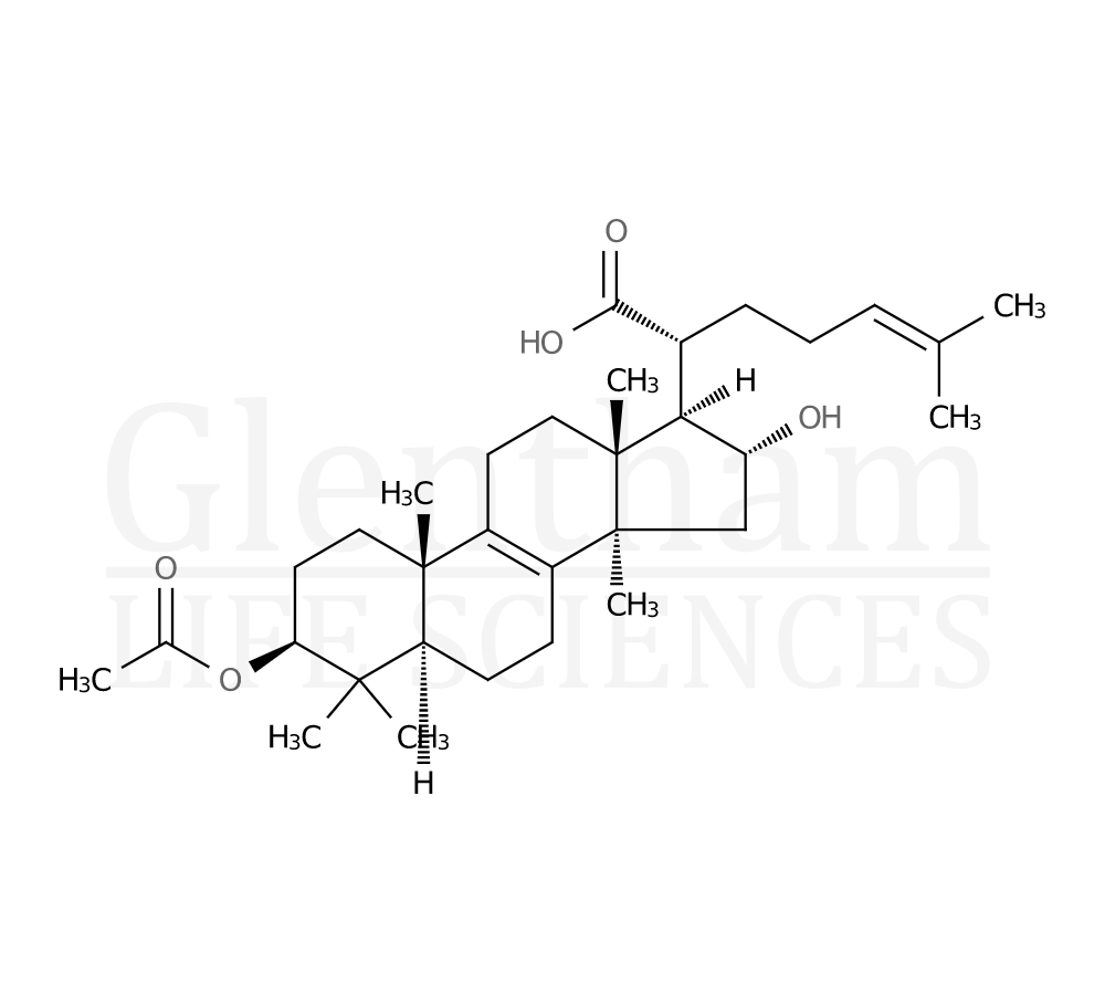 3-O-Acetyl-16alpha-hydroxytrametenolic acid Structure