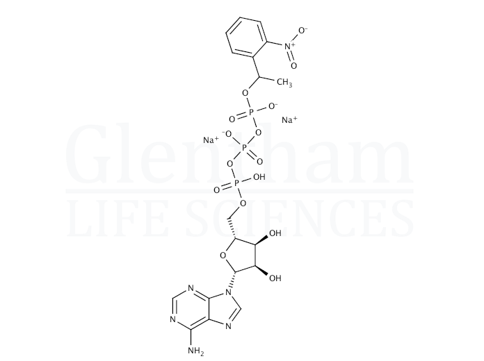 Structure for Adenosine 5′-triphosphate γ-(1-[2-nitrophenyl]ethyl) ester sodium salt (171800-68-3)