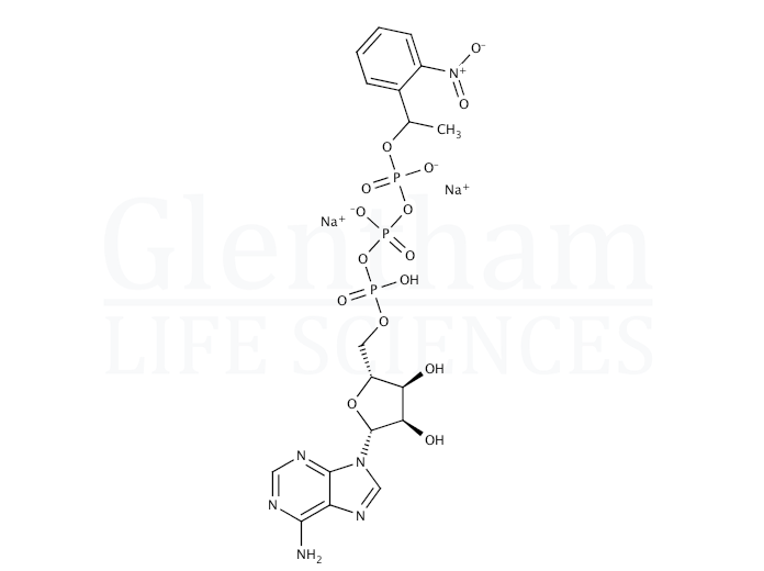 Structure for  Adenosine 5′-triphosphate γ-(1-[2-nitrophenyl]ethyl) ester sodium salt  (171800-68-3)
