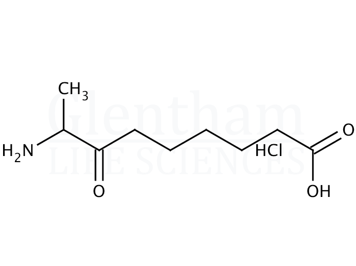 8-Amino-7-oxopelargonic acid hydrochloride Structure