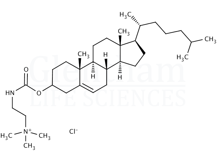 Cholesteryl N-(trimethylammonioethyl)carbamate chloride  Structure