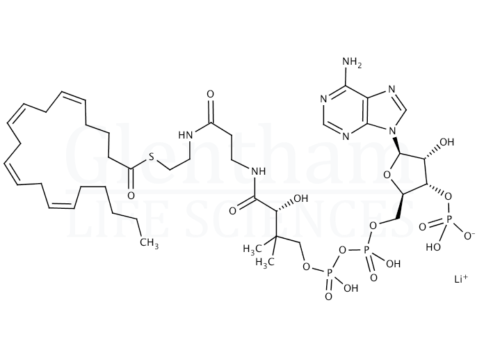 Structure for Arachidonoyl coenzymexa0A lithium salt