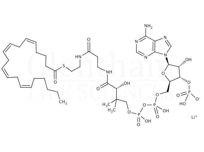 Arachidonoyl coenzymexa0A lithium salt Structure