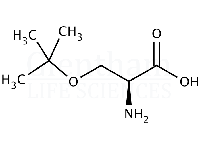 Structure for O-tert-Butyl-L-serine  