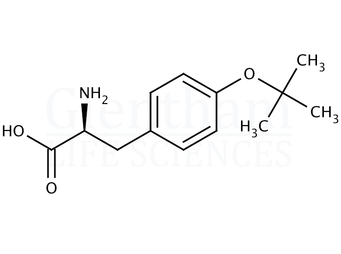 Structure for O-tert-Butyl-L-tyrosine 