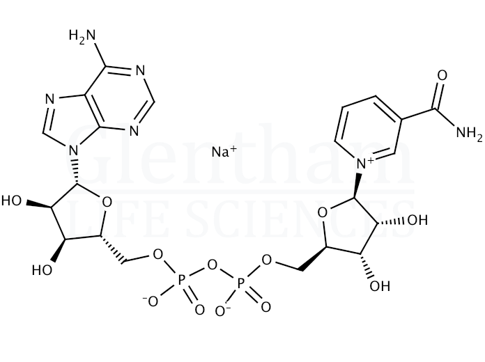 beta-Nicotinamide Adenine dinucleotide sodium salt from Saccharomyces cerevisiae Structure