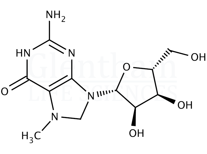 N7-Methylguanosine Structure