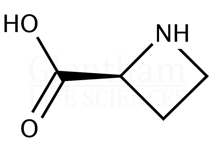 Structure for L-Azetidine-2-carboxylic acid