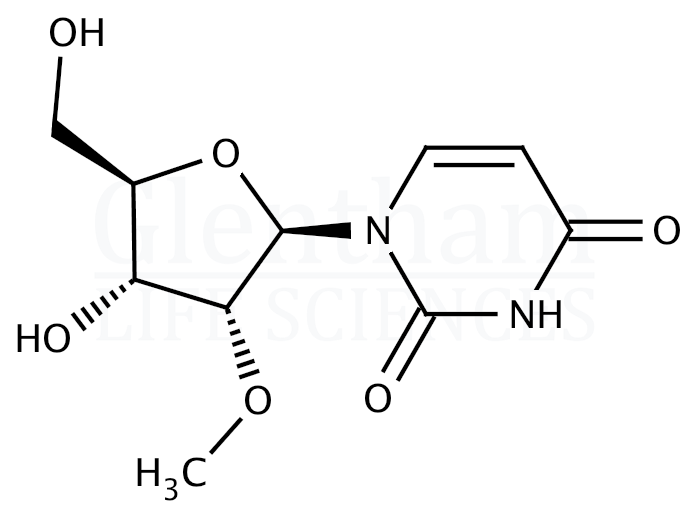 2''-O-Methyl uridine Structure